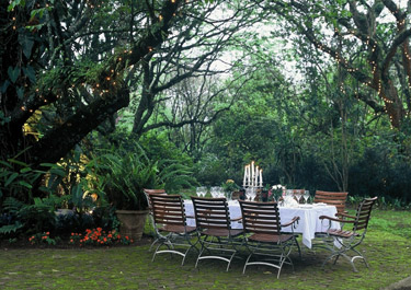 Dining under the trees at Cybele Forest Lodge