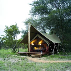 Plains Camp tented accommodation