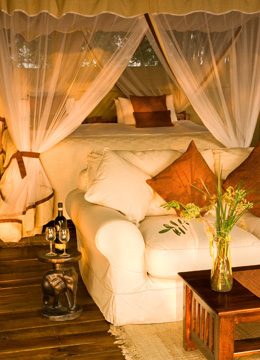 Luxurious tent interior