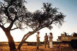 Sundowners on an evening game drive