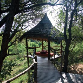 Viewing deck stretching into the bush