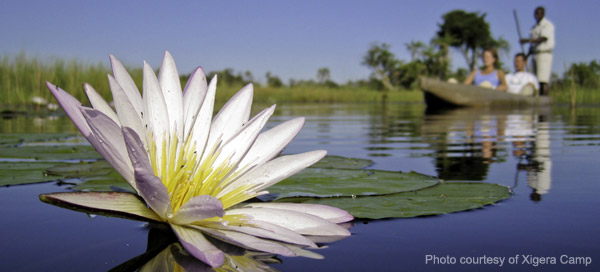 A mokoro ride in the Okavango Delta