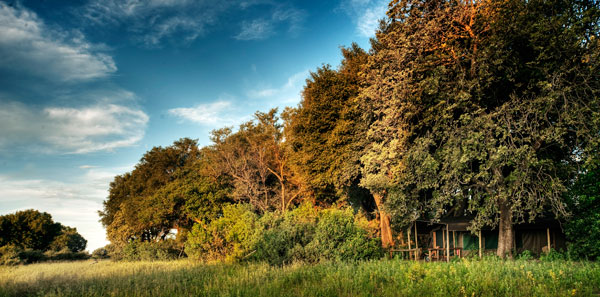 Kwara Camp in the Okavango Delta