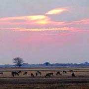 Sunset over the Busanga Plains