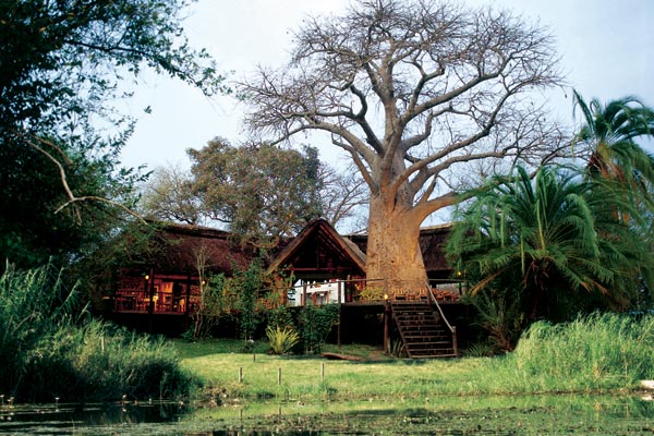Impalila Island Lodge and the Baobab tree