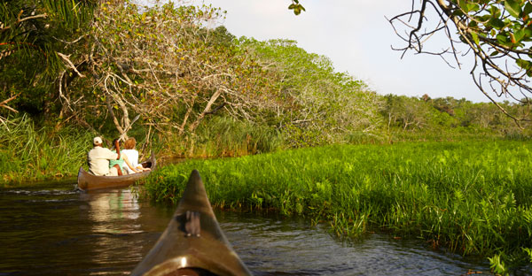 Canoeing at Kosi Forest Lodge