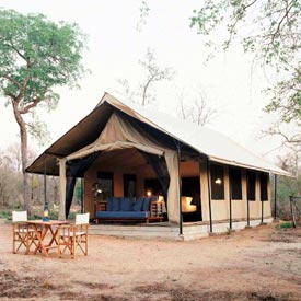 Contemporary-style tents at Khoka Moya