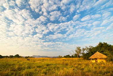 South Luangwa - one of the last unspoilt wilderness areas in Africa