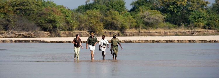 Walking safari