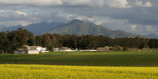 Bartholomeus Klip is a working wheat and sheep farm