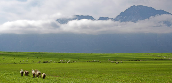 Bartholomeus Klip Farmhouse