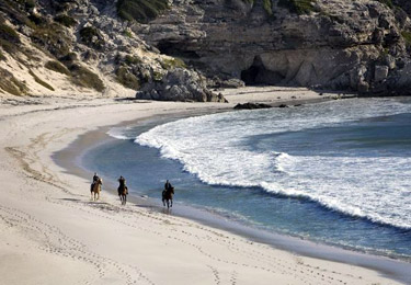 Horseriding on the beach near Grootbos Nature Reserve