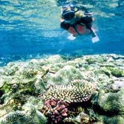 Snorkelling in crystal clear waters off Mozambique